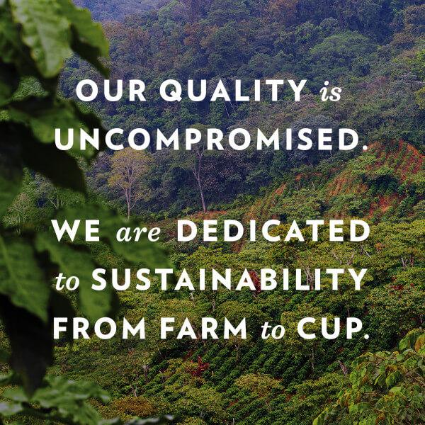 A closer look at Direct Trade Dark Roast Coffee Grounds
