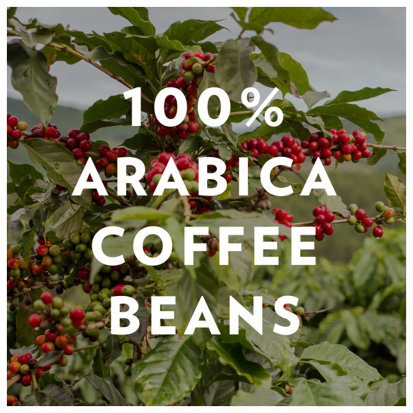 Cafe De Olla Coffee Products,Mexico Cafe De Olla Coffee Supplier